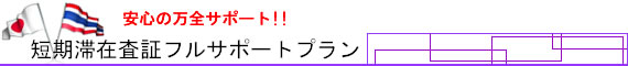 短期滞在査証スタンダードプラン